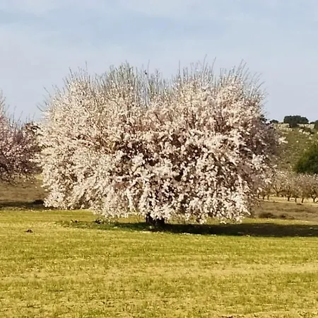 La Galana Albacete Ferienhaus