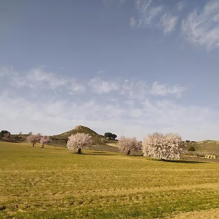 La Galana Albacete *